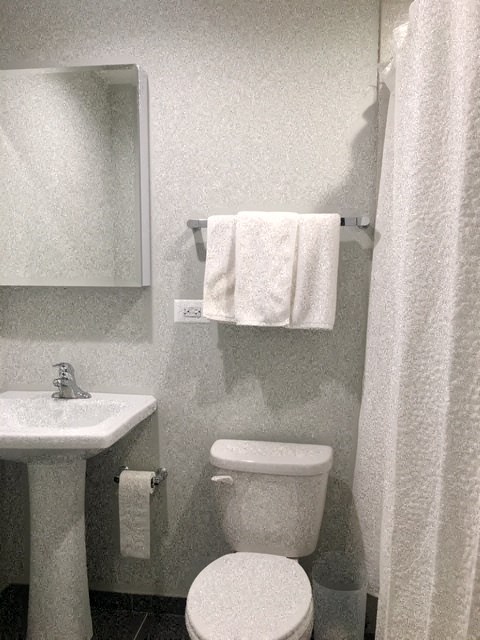 a bathroom with a toilet and a sink and a mirror