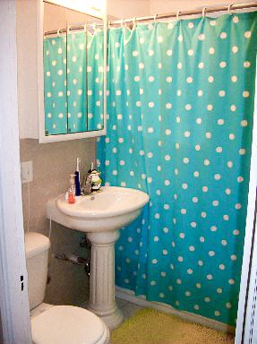 a bathroom with a sink and a shower curtain