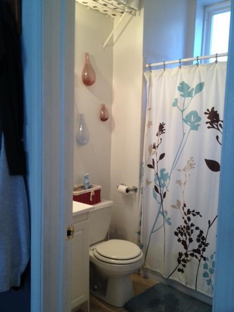 a bathroom with a shower curtain and a toilet