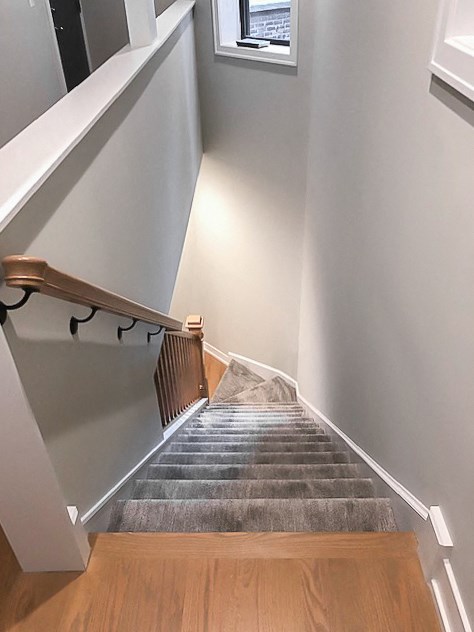 a stairway with a carpeted stair case with a window and a stairwell
