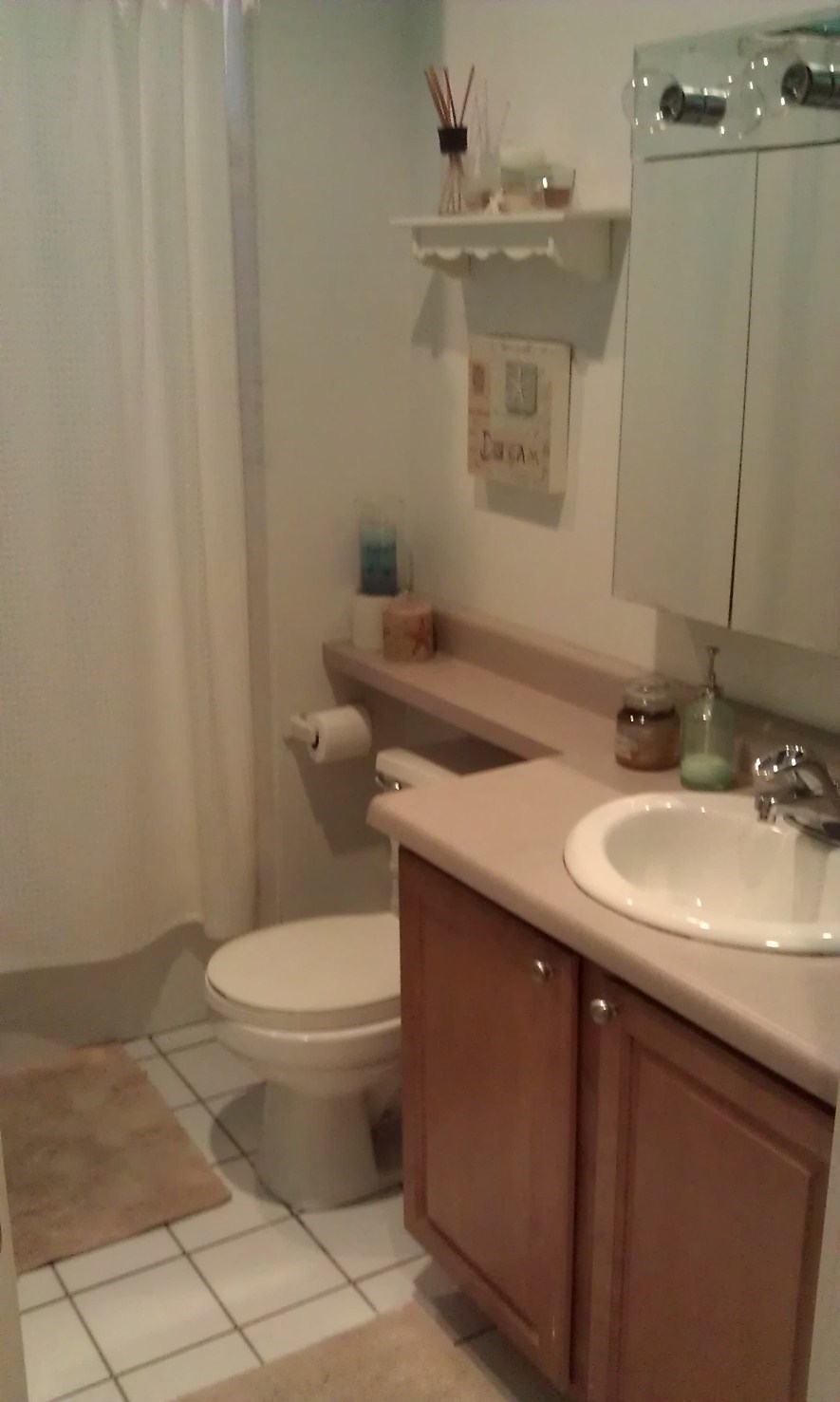 a bathroom with a toilet and a sink