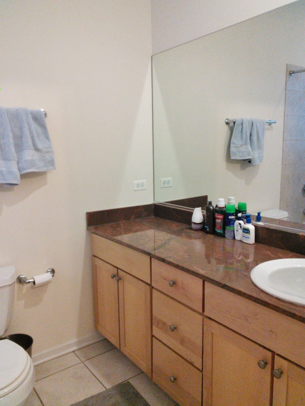 a bathroom with a sink and a toilet and a mirror