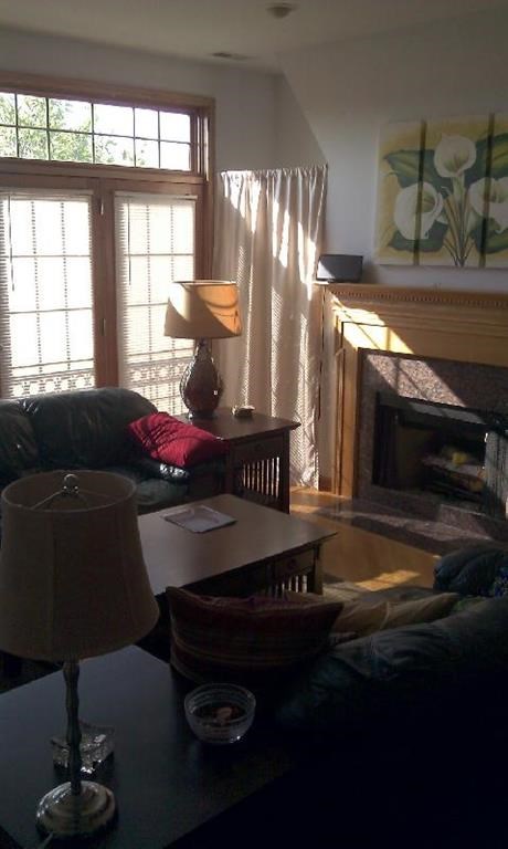 a living room with a fireplace and a couch and a table