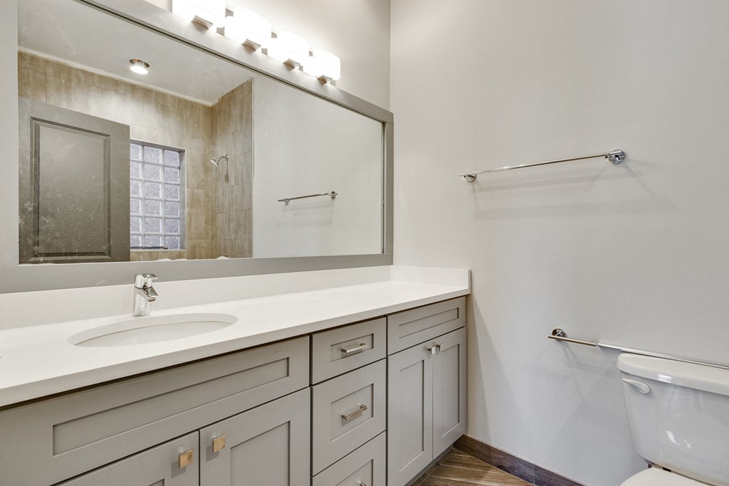 a bathroom with a sink and a mirror and a toilet