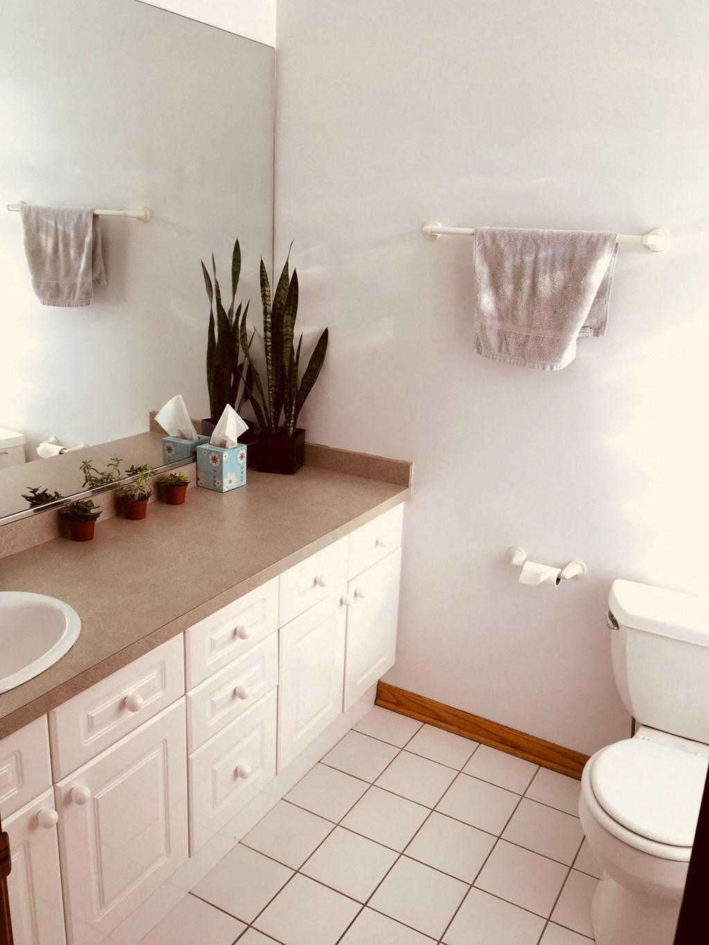 a bathroom with white cabinets and a white toilet and a sink and a plant