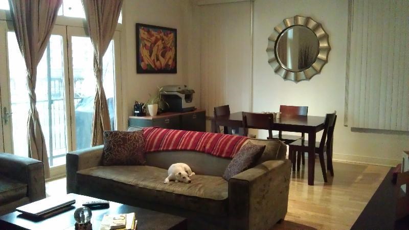 a dog laying on a couch in a living room