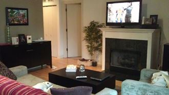 a living room with a fireplace and a television