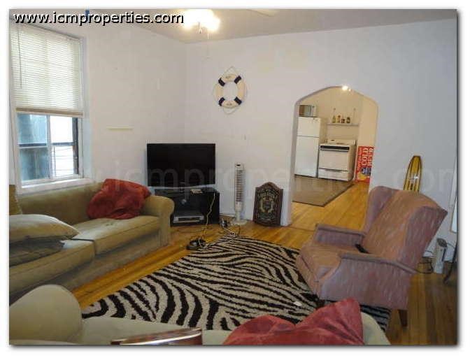 a living room with a zebra rug and a couch