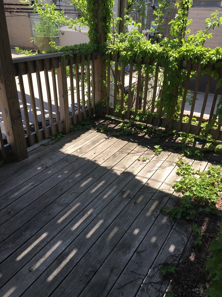 a backyard deck with a wooden fence and plants