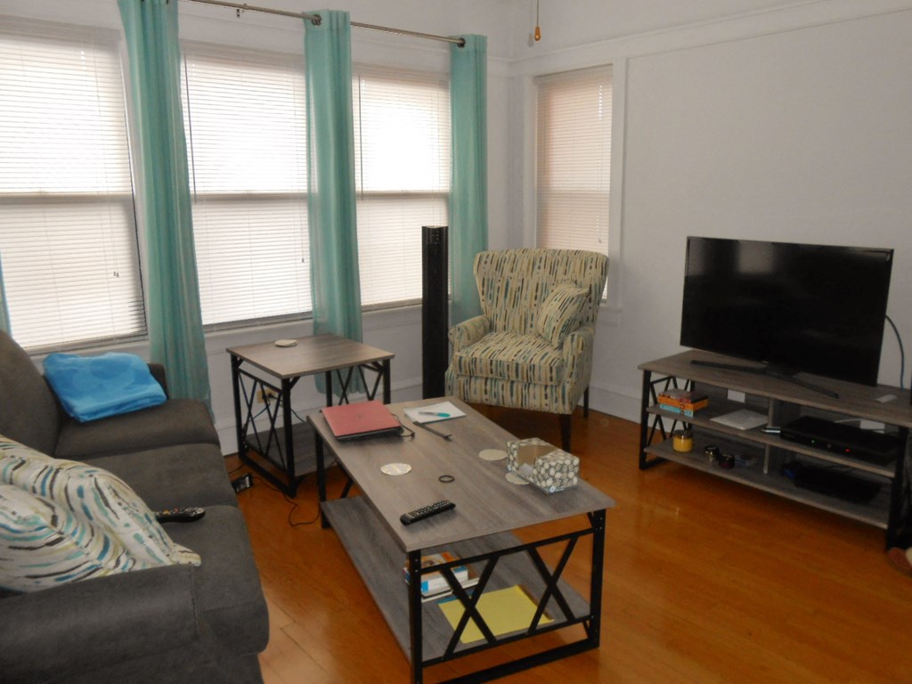 a living room with a couch and a television