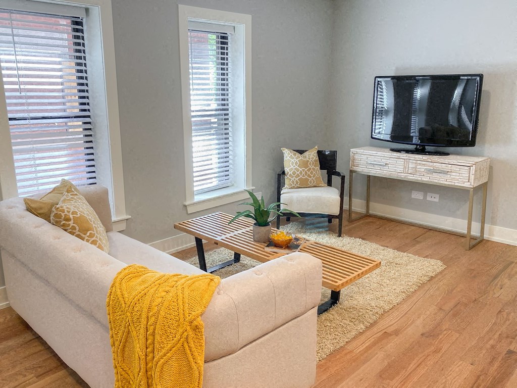 a living room with a couch and a television