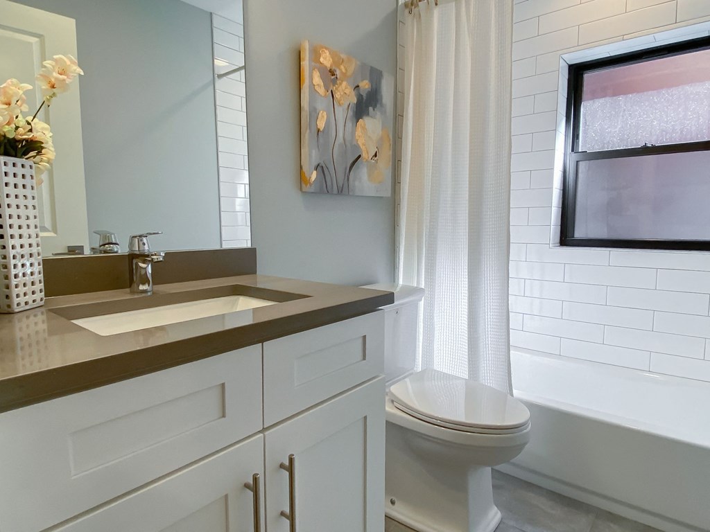 a bathroom with a sink and a toilet and a shower