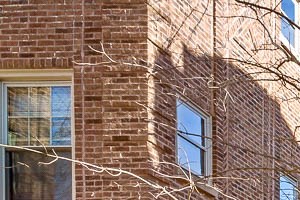 3817-23 N. Lawndale 1 Bed Apartment for Rent - Photo Gallery