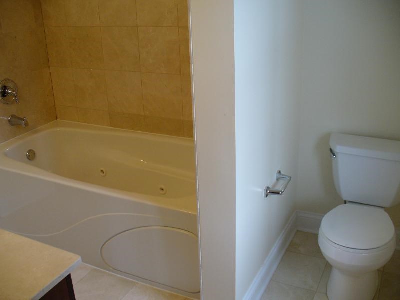 a bathroom with a toilet and a bath tub