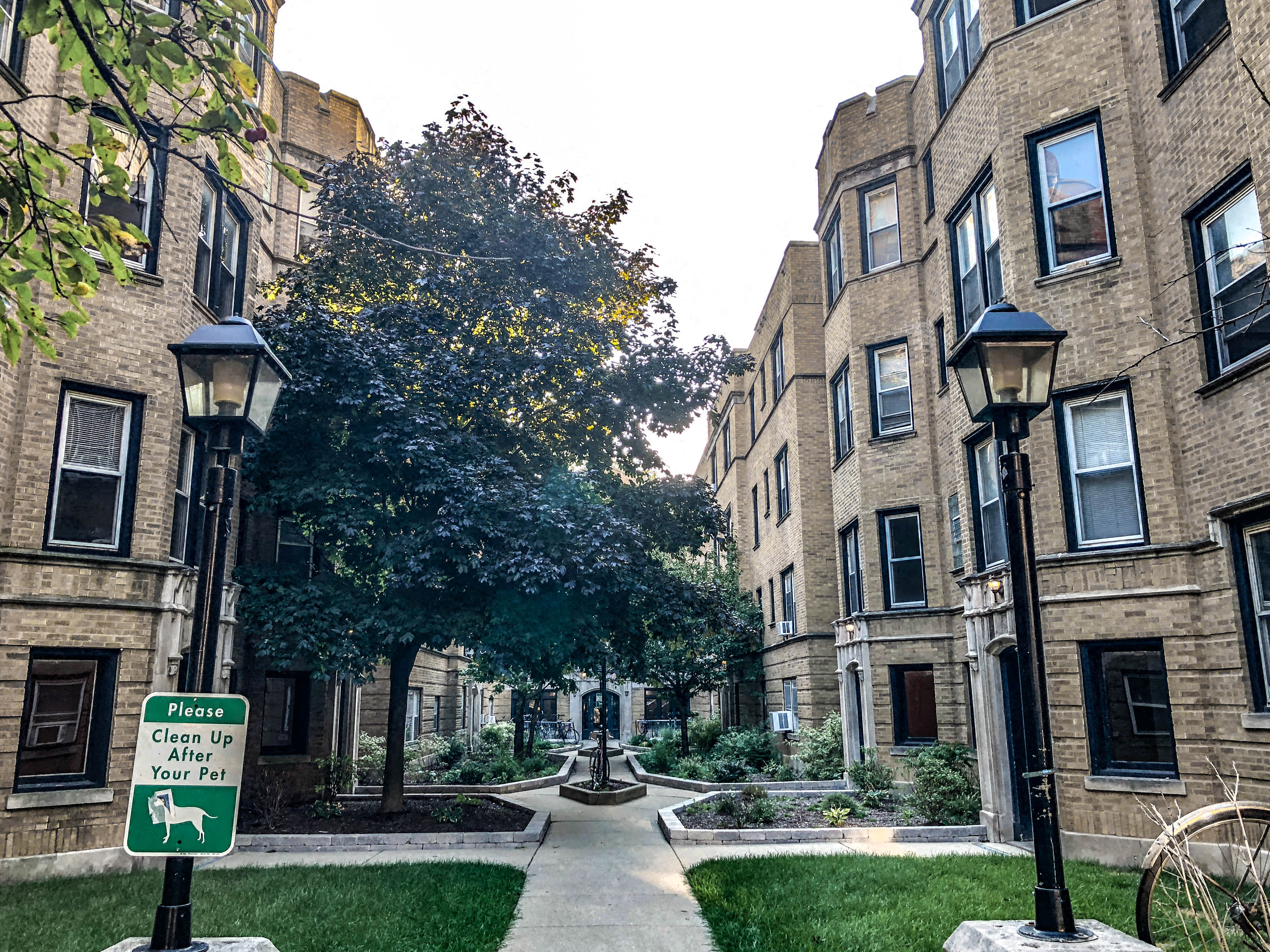 a city street with tall buildings and a tree in the middle