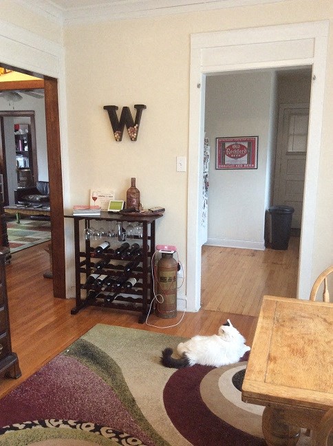 a cat sitting on a rug in a living room