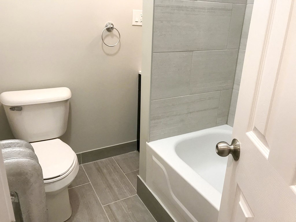 a bathroom with a toilet and a bath tub