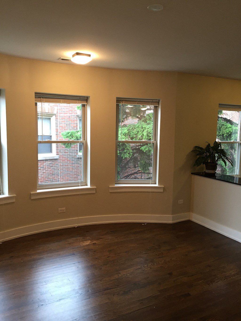 an empty living room with three windows and a wooden floor