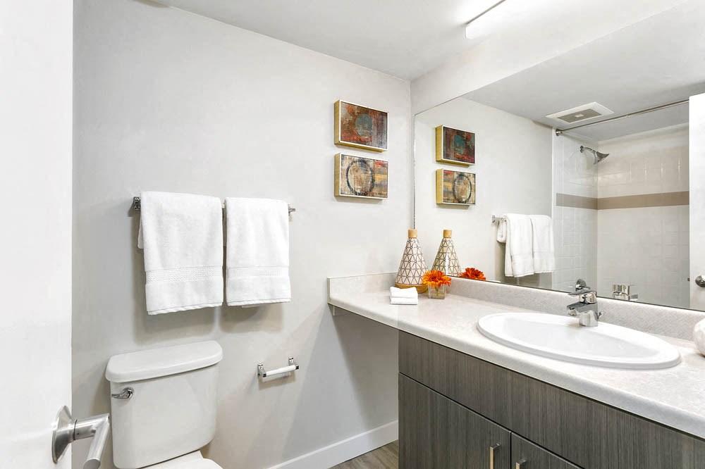 a bathroom with a sink toilet and a mirror