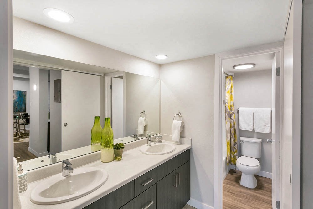 a bathroom with two sinks and a mirror