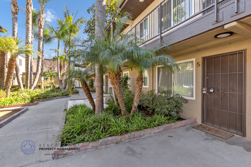 a driveway with palm trees in front of a house