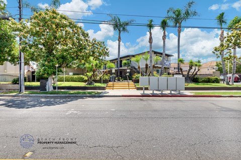 a street view of a house with palm trees and a sidewalk