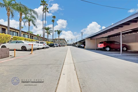 a parking lot with parked cars and a building with palm trees