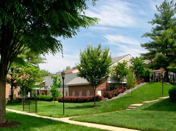 1699 Yale Pl 2-4 Beds Apartment, Townhouse for Rent - Photo Gallery 2