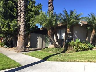 a house with palm trees in front of it on a sidewalk
