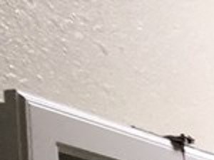 this is a photo of the bathroom in the 1 bedroom clipper floor plan at nant