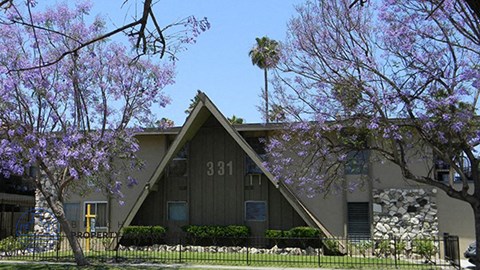 A building with the number 331 on it is surrounded by trees with purple flowers.