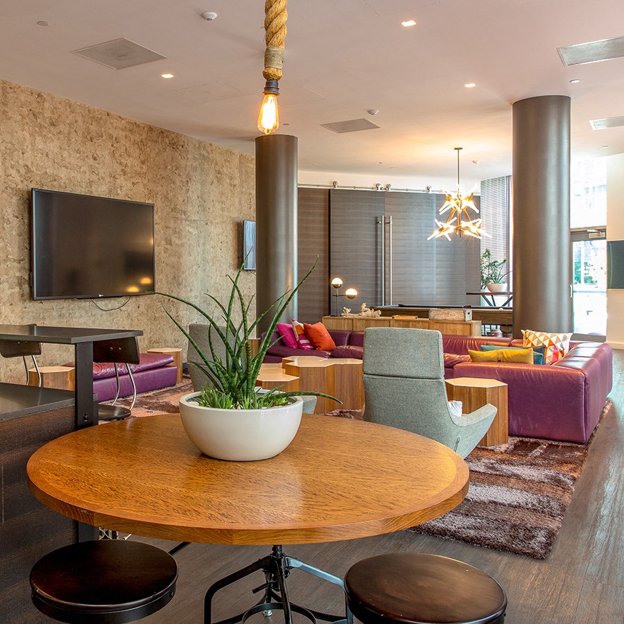 a living room with couches and a table with a potted plant