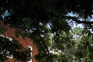 Apartments For Rent Near Butler University Rentcafé 6104 Compton Avenue 1 2 Beds Apartment For Rent Photo Gallery