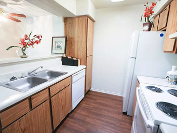 10401 N Lamar Blvd 1-2 Beds Apartment for Rent - Photo Gallery 3