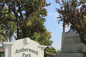 1 Bed 1 Bath - 1428 Knott