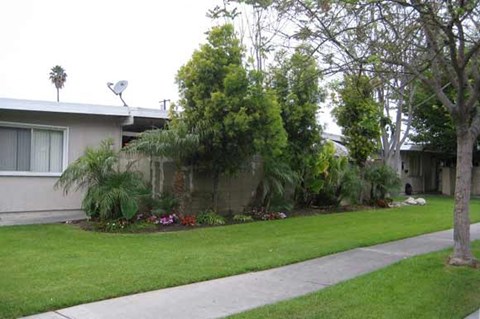 a house with a lawn and trees in front of it