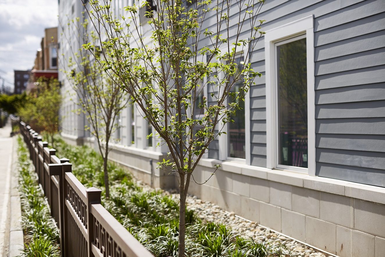 a row of trees and a fence in front of a building