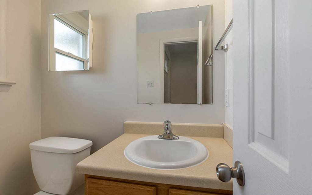 a bathroom with a sink and a mirror and a toilet