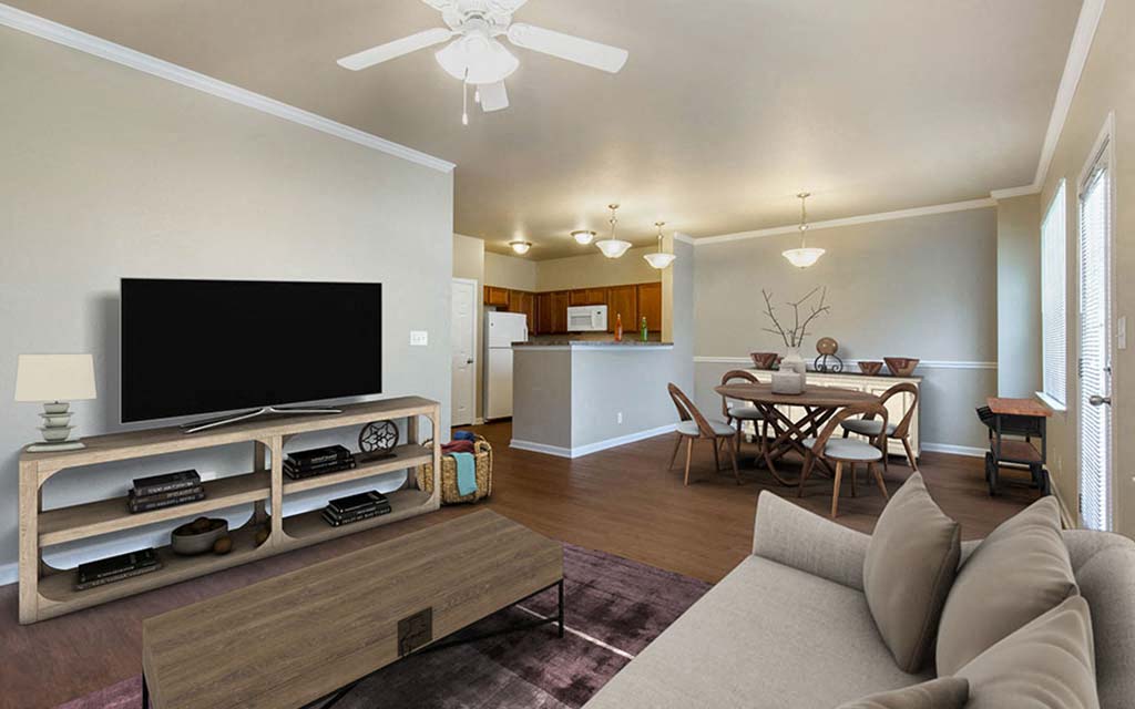 a living room with a couch and a television