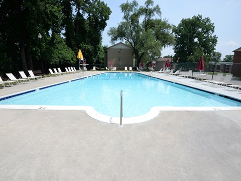 A large outdoor swimming pool surrounded by trees and lounge chairs.