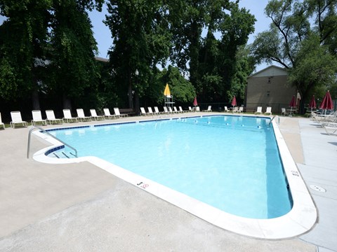 A large outdoor swimming pool surrounded by trees and lounge chairs.