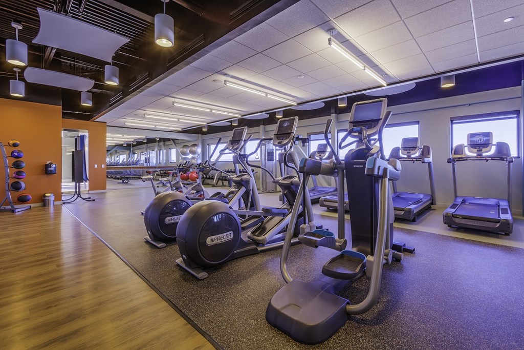 a gym with cardio machines and weights on the floor