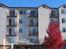 an apartment building with a red tree in front of it