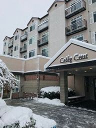 a cafe clash building in the snow