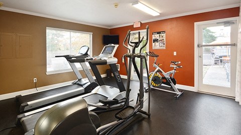 a gym with treadmills and other exercise equipment in a home gym