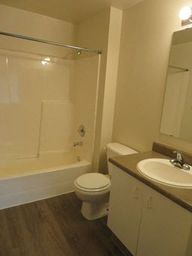 a bathroom with a toilet and a sink and a shower