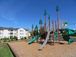 an image of a playground with slides
