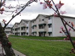 an apartment building with a flowering tree in the foreground