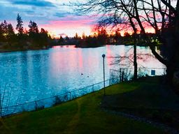 the sun is setting over the lake and the sky is pink