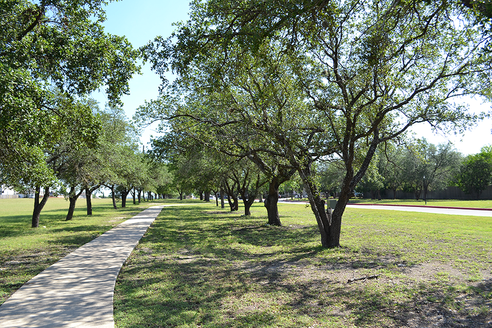 a sidewalk running through a park with trees